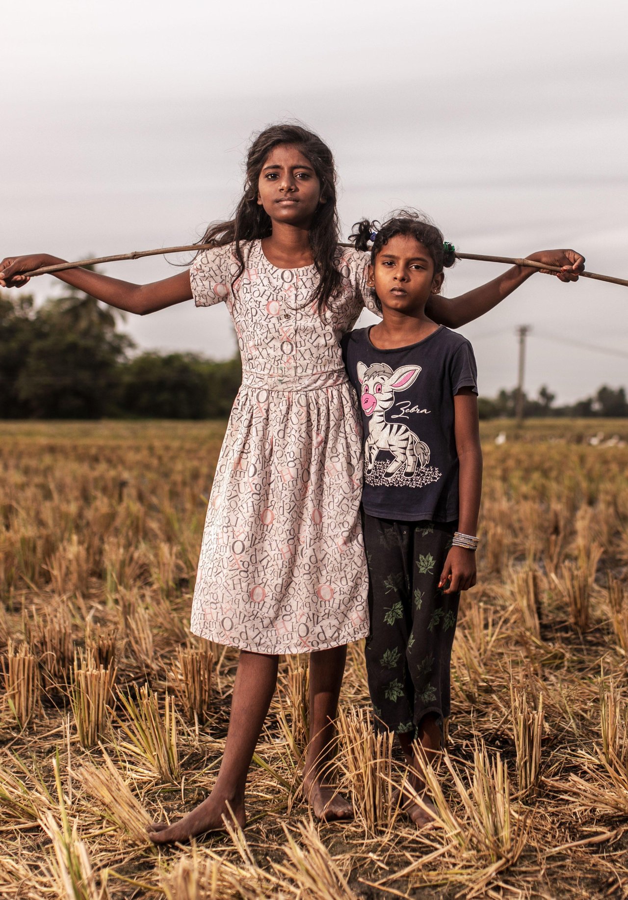 355 A0945 jpg 202409 CHE Duck Farm Stock Full Use