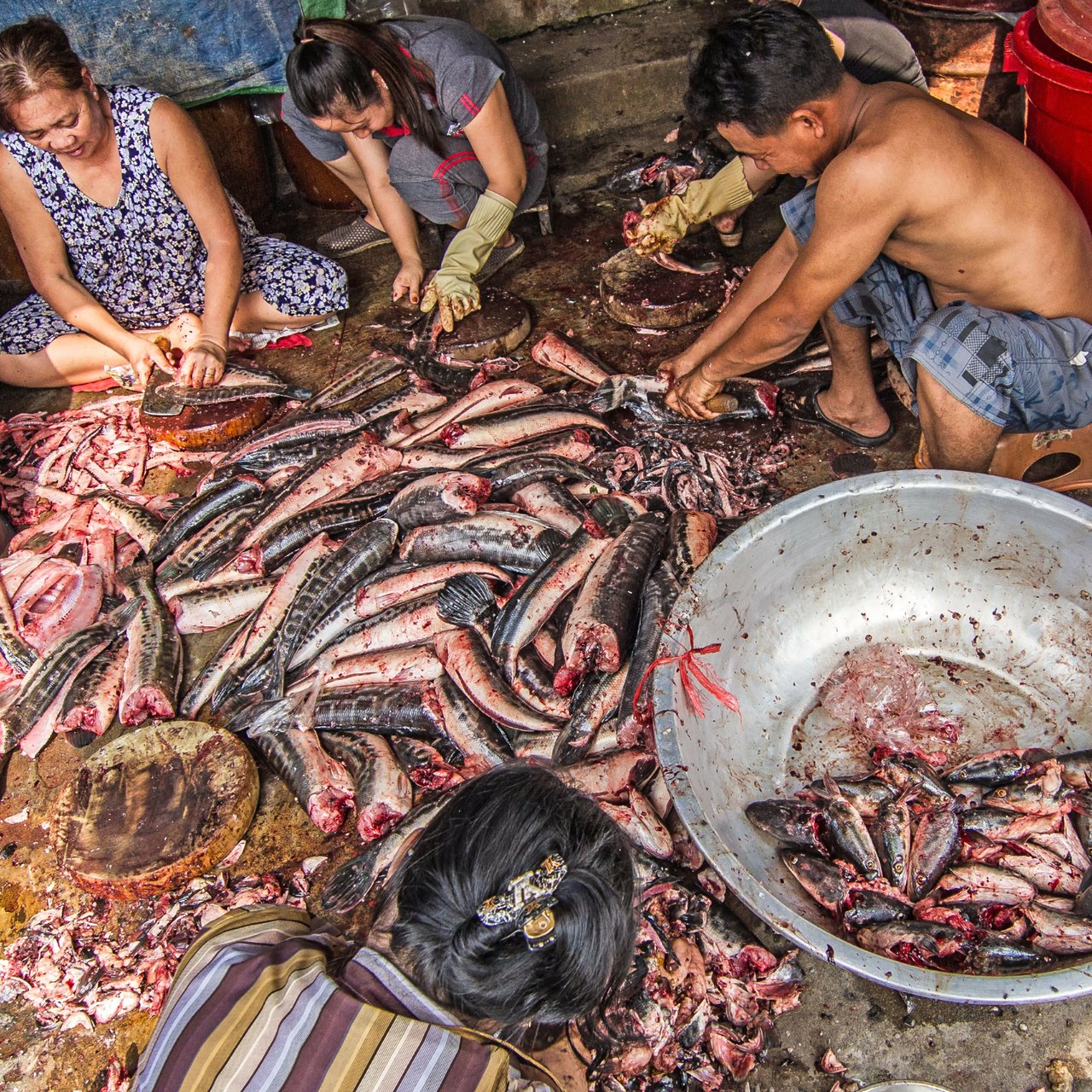 20160325 Cambodia 000 201603 PHN Cambodia Fishing