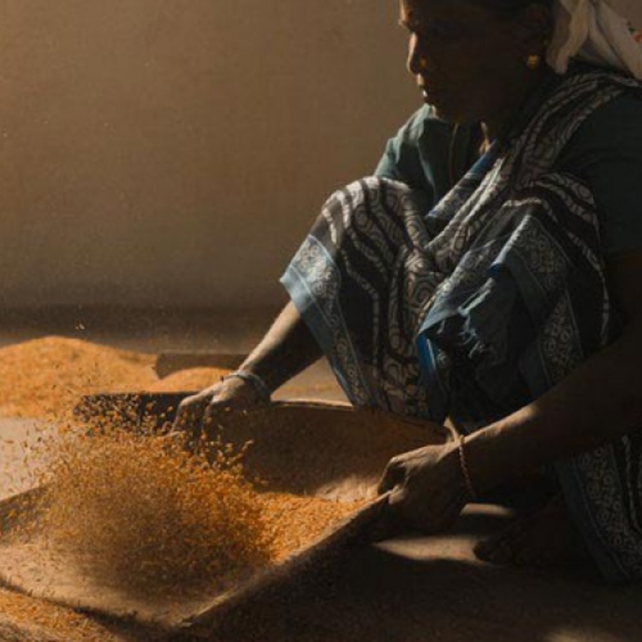 2019 Rice Mill South Asia