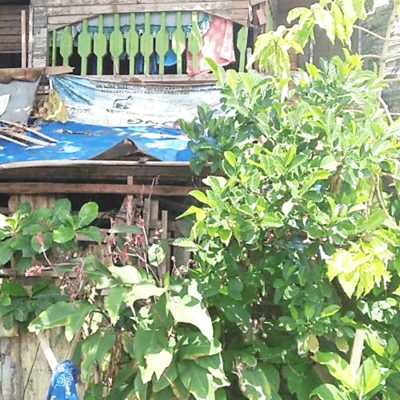 2019 01 BN Philippines House of Suspect