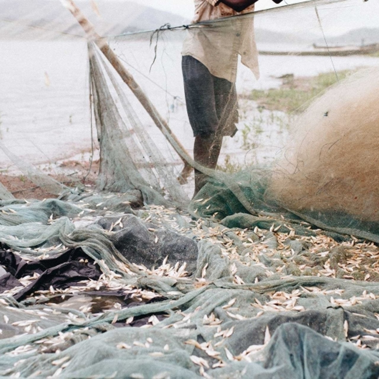 Photo boy on boat with fish 01