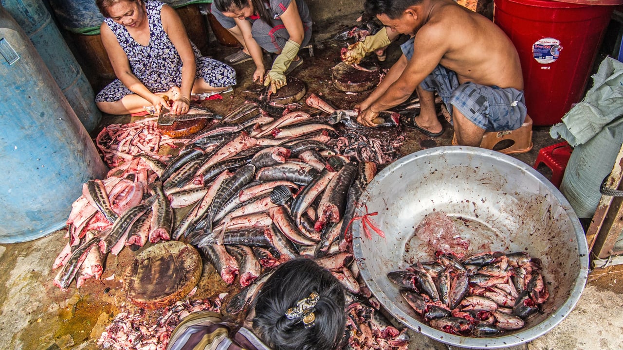 20160325 Cambodia 000 201603 PHN Cambodia Fishing