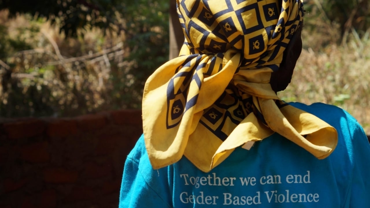 2019 02 22 BN Gulu IPV story
