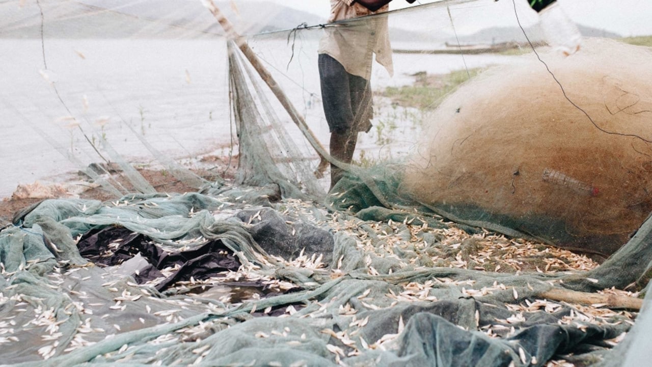 Photo boy on boat with fish 01